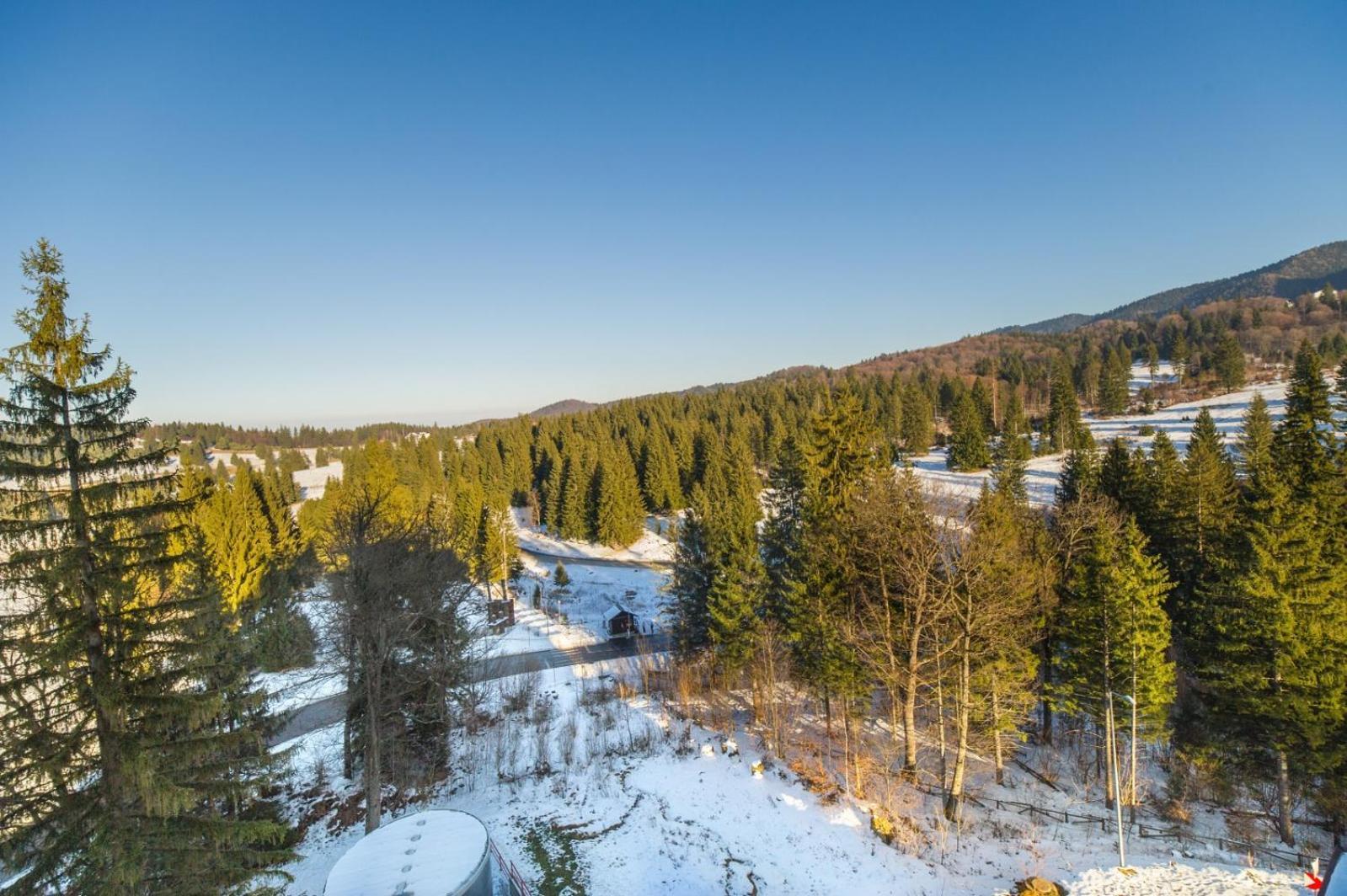 Pine Woods Apartment A43 In Silver Mountain Poiana Brasov Luaran gambar